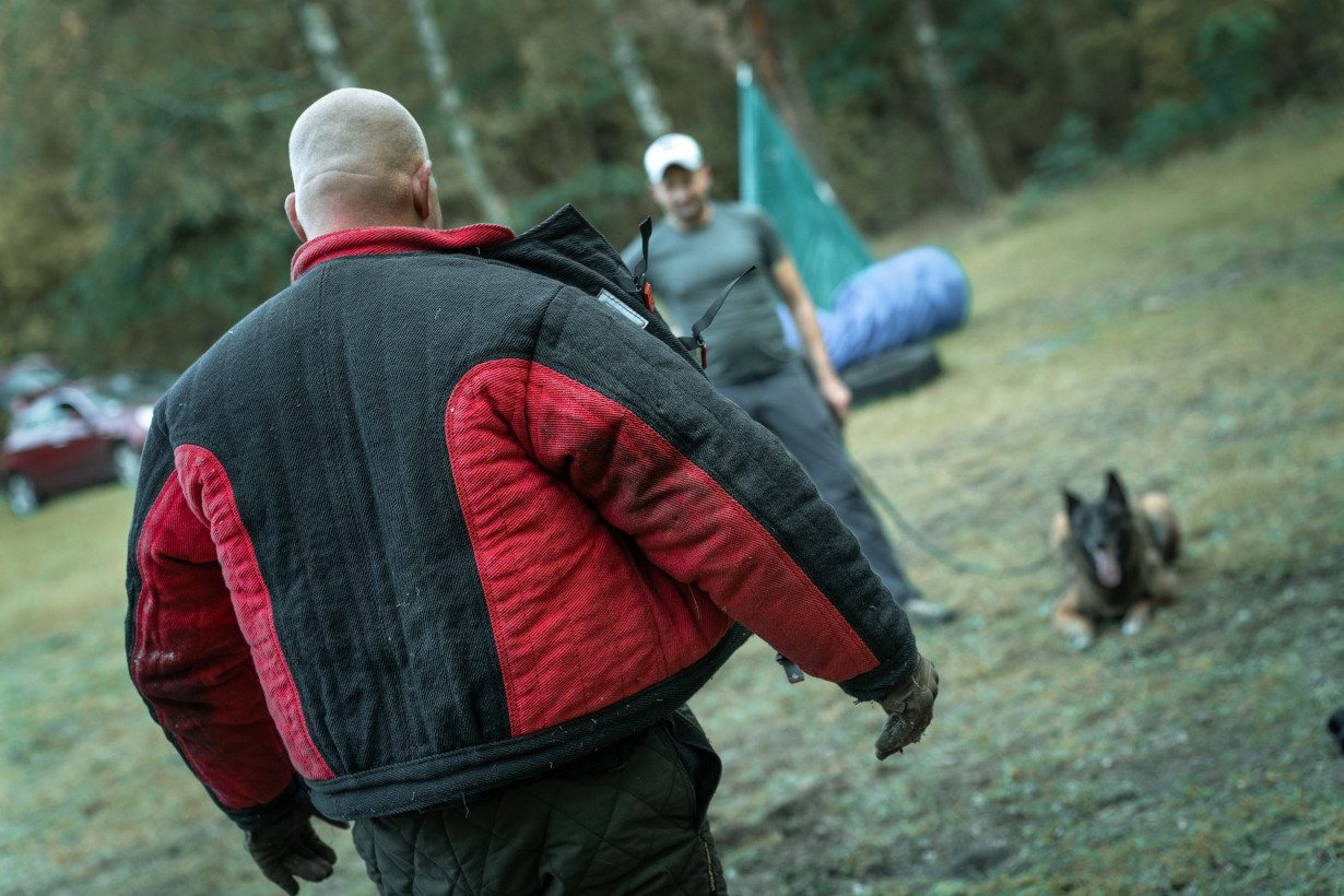 Cykor K9 Szkoła Psów