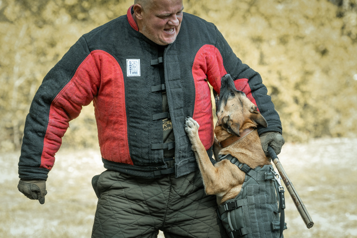 Cykor K9 Szkoła Psów